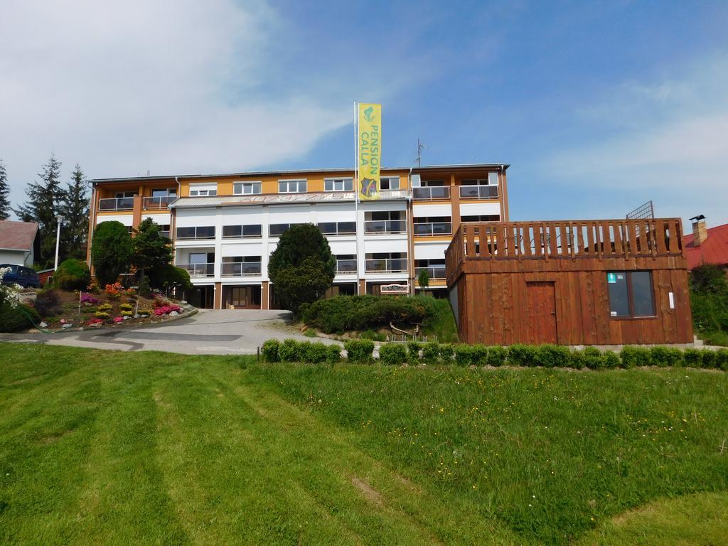 Pension Calla Dolni Vltavice Bagian luar foto