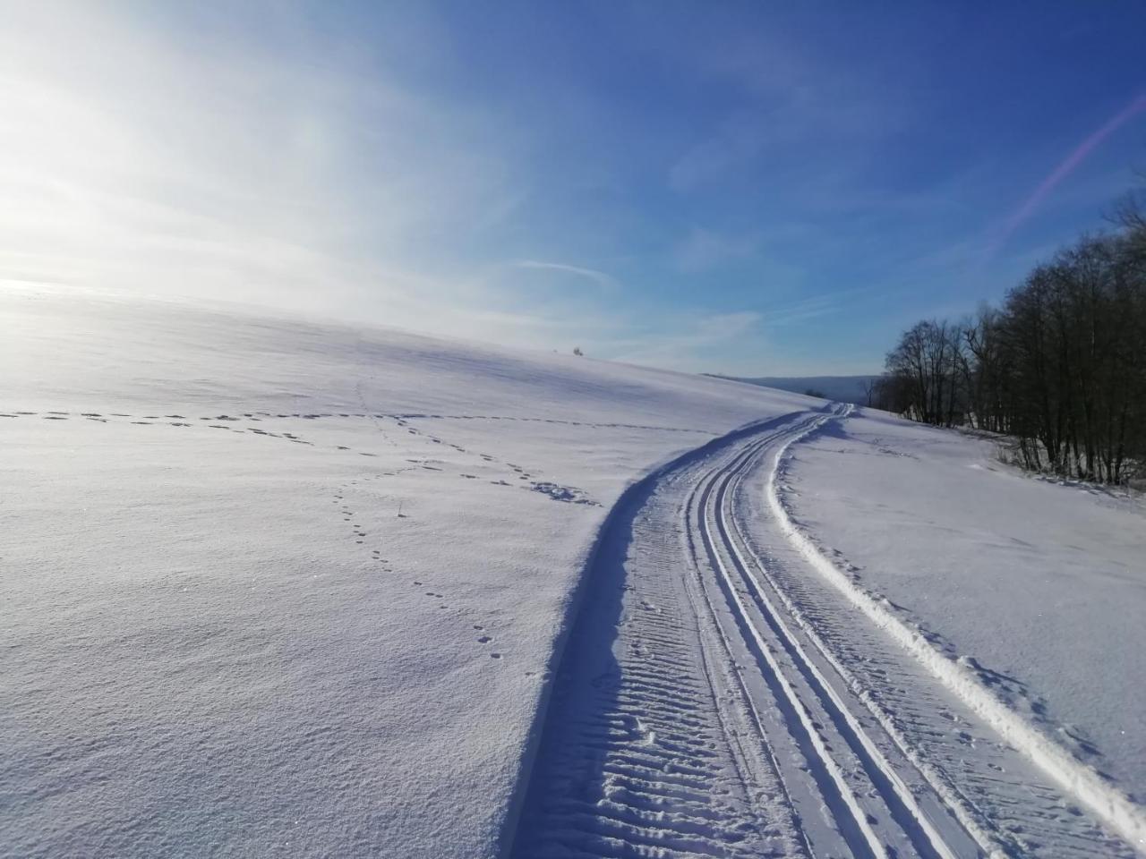 Pension Calla Dolni Vltavice Bagian luar foto